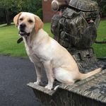 John Bonner - @bonner.john - Instagram