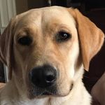 John Bonner - @bonner3878 - Instagram
