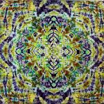 John Bonner - @bonbondyes - Instagram