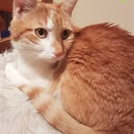 John Bonnet - @jbonnet147 - Instagram