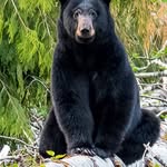 John Bonnet - @johnbonnet.75 - Instagram