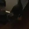 John Bonnet - @jas.was..here_x - TikTok