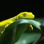 John Bonnett - @john.bonnett.750 - Instagram