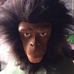 Johnson - @bonnotjohnsonb - Instagram