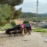 John - @johnbontekoning - Instagram