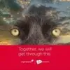 johnnybookhart - @johnnybookhart - TikTok