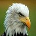 John Boone - Facebook