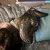 John Boone - Facebook