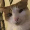 John Booth - @johnbooth18 - TikTok