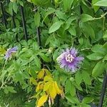 John Borders - @john.j.borders - Instagram