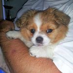 John Borek - @john.borek.946 - Instagram