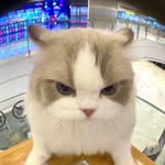 𝐉𝐨𝐡𝐧 𝐢𝐬 𝐛𝐨𝐫𝐢𝐧𝐠 - @jc_is_boring - Instagram