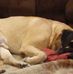 John Borner - Facebook