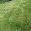 John Bosh - @john.bosh7 - TikTok