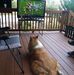 John Bosman - Facebook