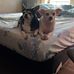 John Bossler - Facebook
