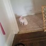 John Bossler - @bosslerjohn - Instagram
