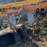 John Bottomley - @john_bottomley44 - Instagram