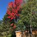 John Boudreau - Facebook