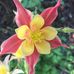 John Boulette - Facebook