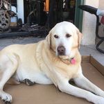 John Bouma - @johnbouma - Instagram
