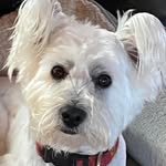 John W Bowens - @john.bowens.581 - Instagram