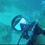 John Bower - @j_bower29 - Instagram
