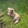 John Bower - @john.bower1 - TikTok