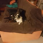 John Bower - @bower.john - Instagram