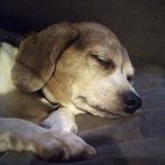 John Bowles - @gratefullbowles - Instagram