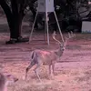John Bowles - @john.bowles - TikTok
