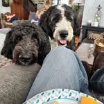 Johnny Bomaster - @jwbomaster - Instagram