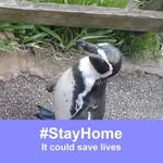 John Boyes - @johnboyes1971 - Instagram