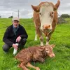 John Boylan - @john.boylan - TikTok