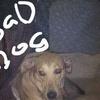 John Boyle - @johnboyle1971 - TikTok