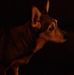 John Bozarth - Facebook
