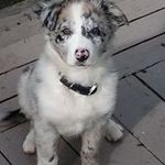 John Bracke - @brackejohn - Instagram