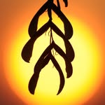 John H. Brackenbury - @johnh.brackenbury - Instagram