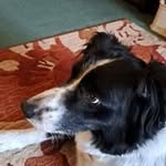 John Brader - @jackwolf666777555999 - Instagram