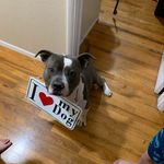 John Bragg - @jhbragg - Instagram