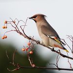 John Branagan - @northlondonjohn - Instagram
