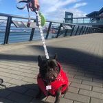 John Branch - @john.branch - Instagram