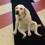 John Brass - @gunny8793 - Instagram