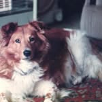 John Brassey - @johneebrassey - Instagram