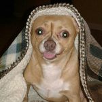 John Bratcher - @becket60_ - Instagram