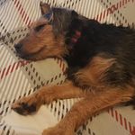 John Bratton - @bratton640 - Instagram