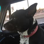John Brauer - @john.brauer.50 - Instagram