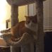 John Brazel - Facebook
