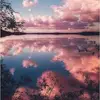 John Breed - @john.breed - TikTok