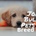 John Bully Pets Breed - Facebook